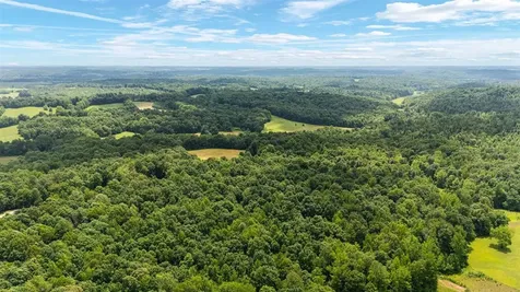 7396 Caneyville Road Morgantown KY 42261