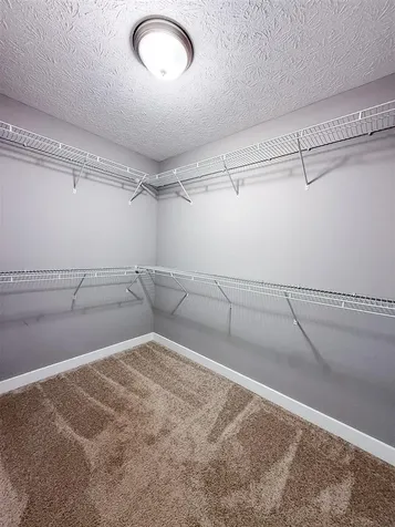 1113 Bluebell Way Bowling Green KY 42104