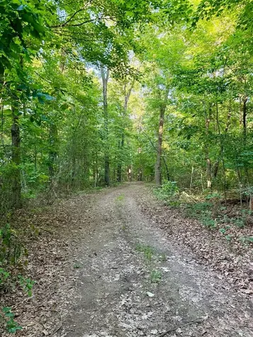 5802 Blue Level Road Bowling Green KY 42101