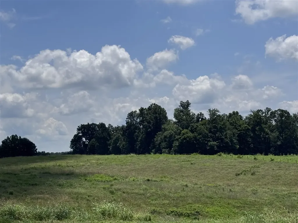 Tract 2-5 Franklin Road Scottsville KY 42164