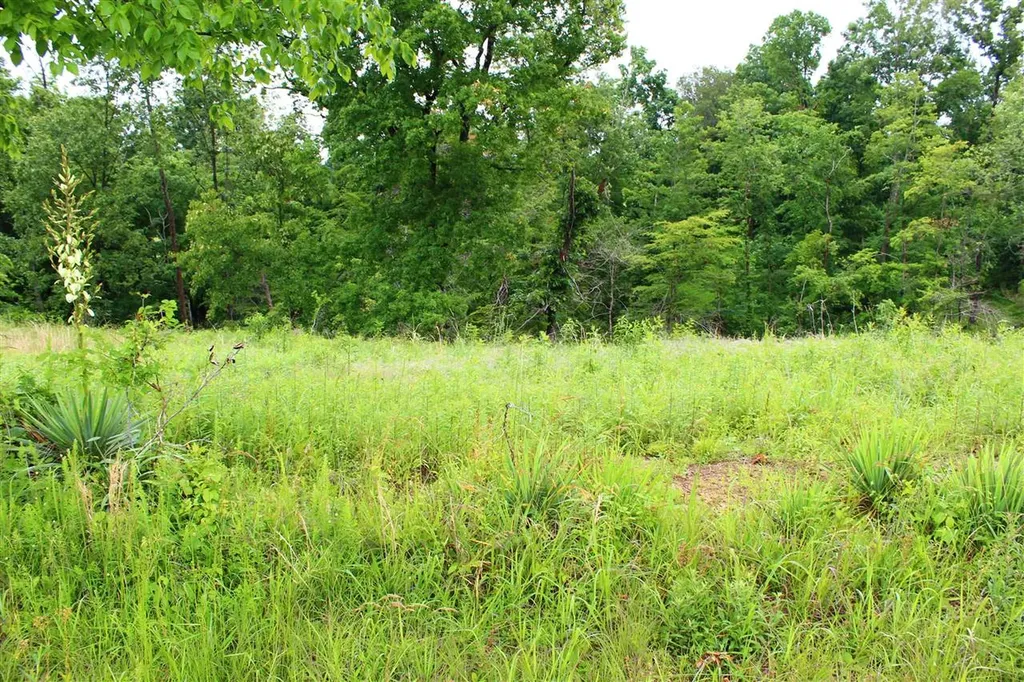3B Halifax Bailey Road Scottsville KY 42164