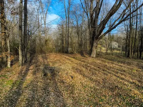 0 Muskie Way Scottsville KY 42164
