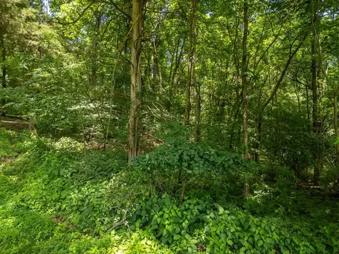 Lot 11 Kelsey Circle Russellville KY 42276