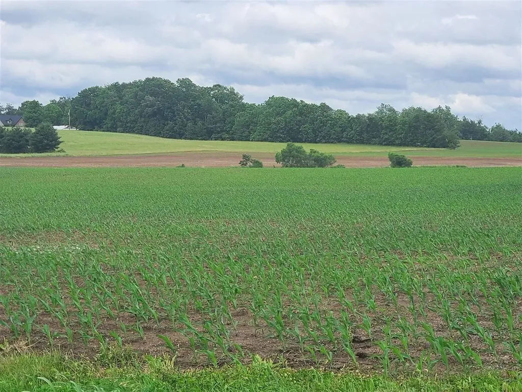 00 Witt Road Franklin KY 42134