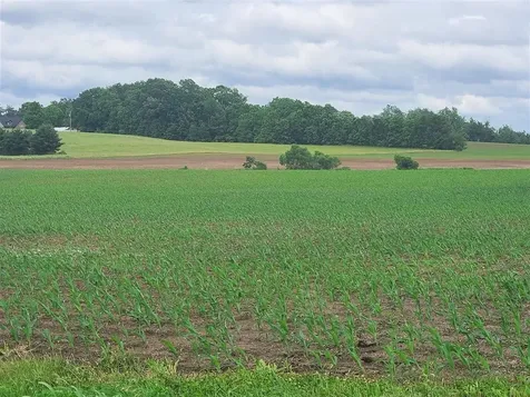 00 Witt Road Franklin KY 42134