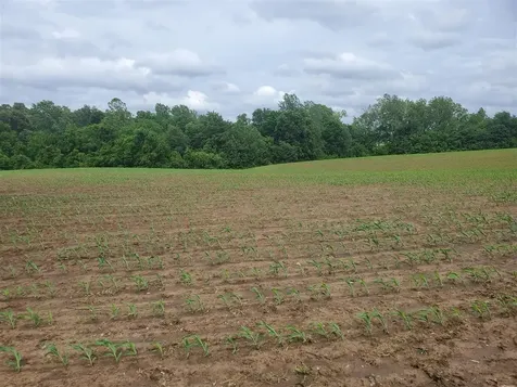 00 Witt Road Franklin KY 42134