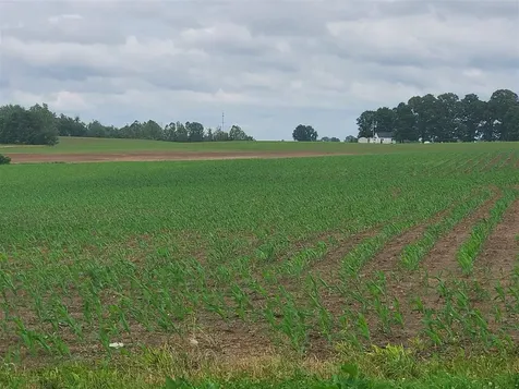 00 Witt Road Franklin KY 42134