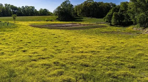 644 M Johnson Road Smiths Grove KY 42171