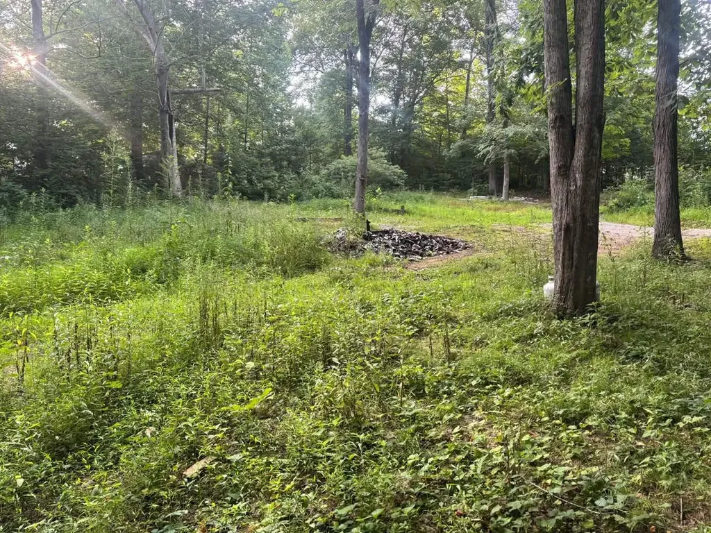 681 Lock 5 Road Roundhill KY 42275