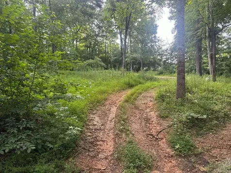 681 Lock 5 Road Roundhill KY 42275