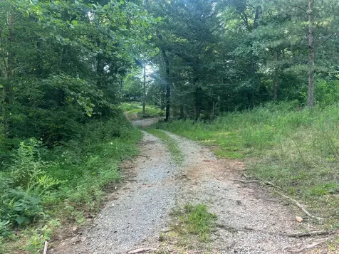 681 Lock 5 Road Roundhill KY 42275