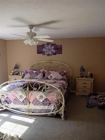 54 Turkey Foot Lane Scottsville KY 42164