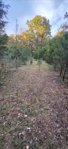 6550 Morgantown Road Bowling Green KY 42101