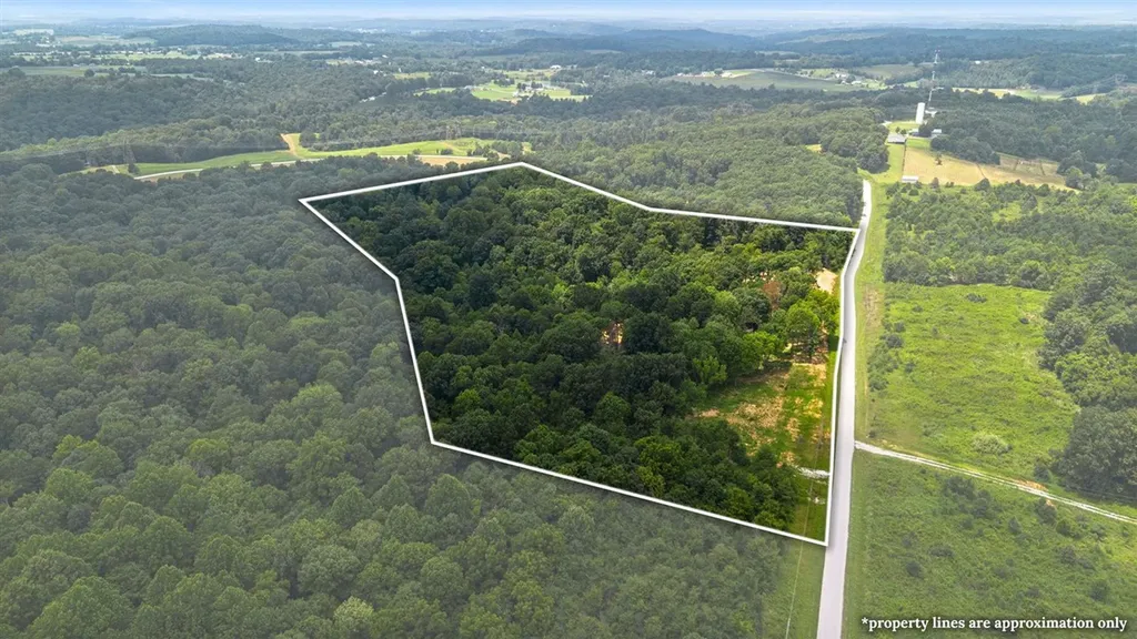 595 Malone Farm Lane Belton KY 42324