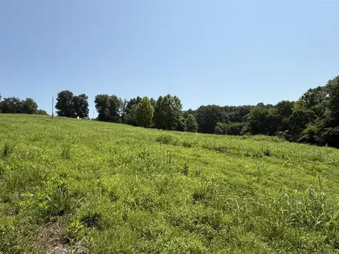 20.414 Acres Gainesville Port Oliver Road Scottsville KY 42164