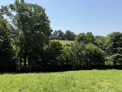 20.414 Acres Gainesville Port Oliver Road Scottsville KY 42164