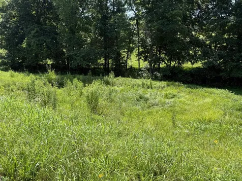 20.414 Acres Gainesville Port Oliver Road Scottsville KY 42164