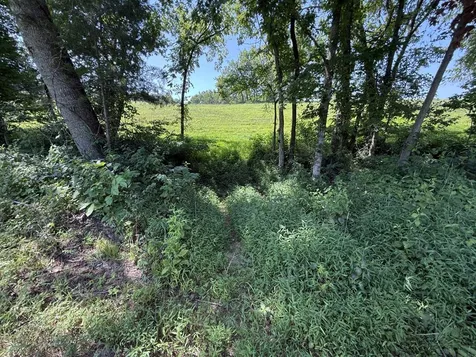 20.414 Acres Gainesville Port Oliver Road Scottsville KY 42164