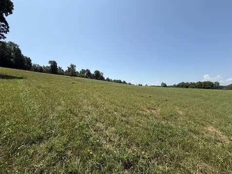 20.414 Acres Gainesville Port Oliver Road Scottsville KY 42164