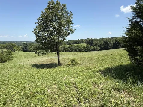 20.414 Acres Gainesville Port Oliver Road Scottsville KY 42164