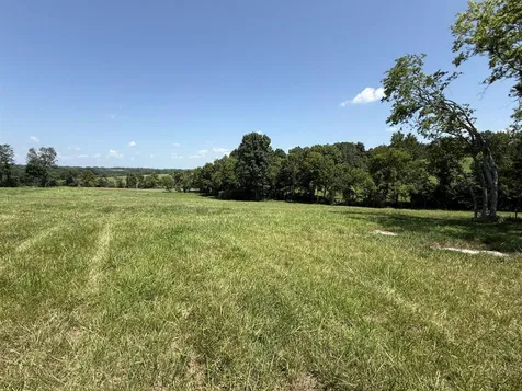 20.414 Acres Gainesville Port Oliver Road Scottsville KY 42164