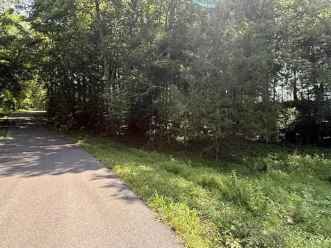 20.414 Acres Gainesville Port Oliver Road Scottsville KY 42164