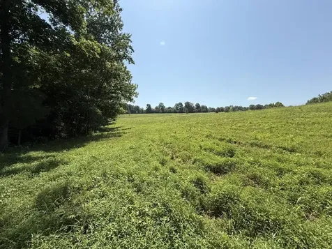 20.414 Acres Gainesville Port Oliver Road Scottsville KY 42164