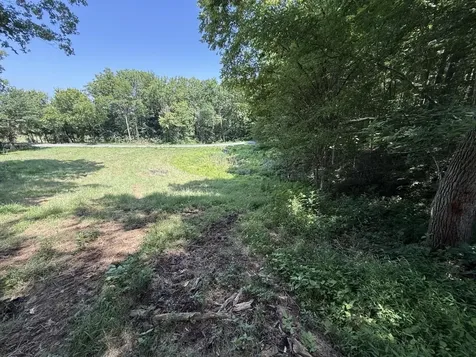 20.414 Acres Gainesville Port Oliver Road Scottsville KY 42164