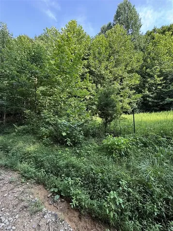 158 Acres Johnson Cemetery Road Morgantown KY 42261