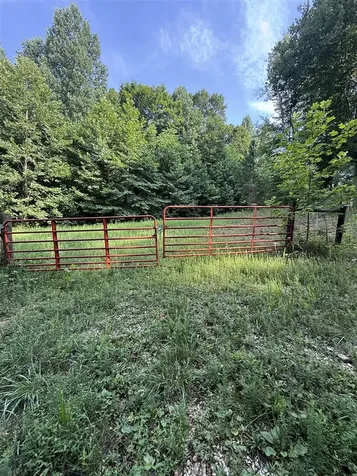 158 Acres Johnson Cemetery Road Morgantown KY 42261