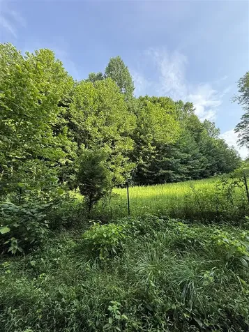 158 Acres Johnson Cemetery Road Morgantown KY 42261