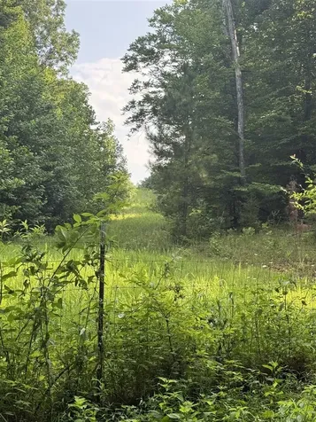 158 Acres Johnson Cemetery Road Morgantown KY 42261