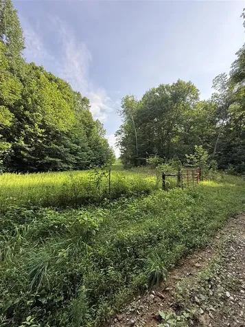 158 Acres Johnson Cemetery Road Morgantown KY 42261