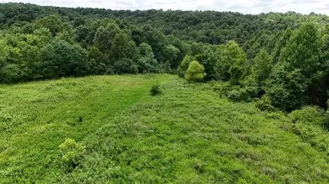 158 Acres Johnson Cemetery Road Morgantown KY 42261