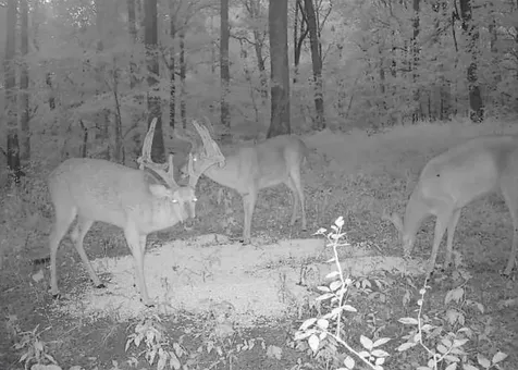 158 Acres Johnson Cemetery Road Morgantown KY 42261