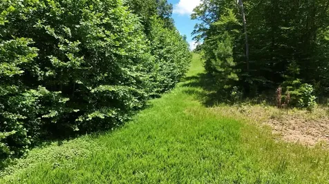 158 Acres Johnson Cemetery Road Morgantown KY 42261