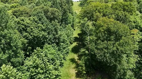 158 Acres Johnson Cemetery Road Morgantown KY 42261