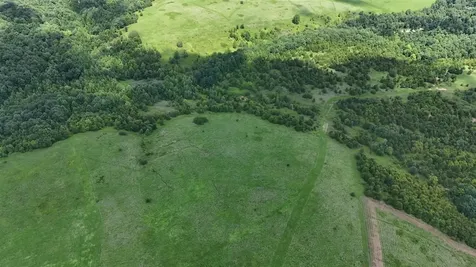 158 Acres Johnson Cemetery Road Morgantown KY 42261