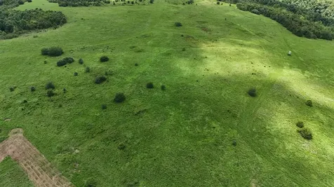 158 Acres Johnson Cemetery Road Morgantown KY 42261
