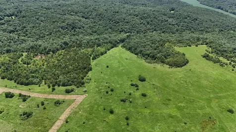 158 Acres Johnson Cemetery Road Morgantown KY 42261