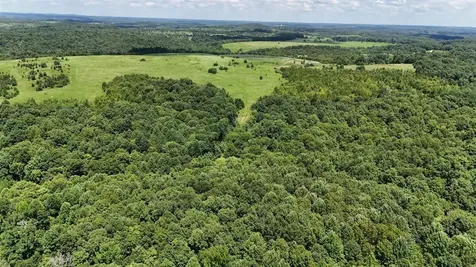158 Acres Johnson Cemetery Road Morgantown KY 42261