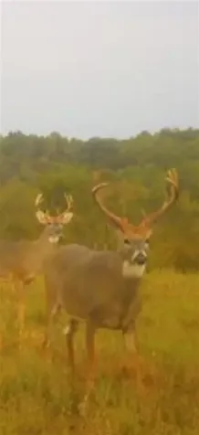 158 Acres Johnson Cemetery Road Morgantown KY 42261