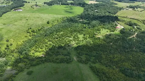 158 Acres Johnson Cemetery Road Morgantown KY 42261