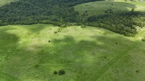 158 Acres Johnson Cemetery Road Morgantown KY 42261