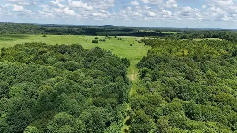 158 Acres Johnson Cemetery Road Morgantown KY 42261