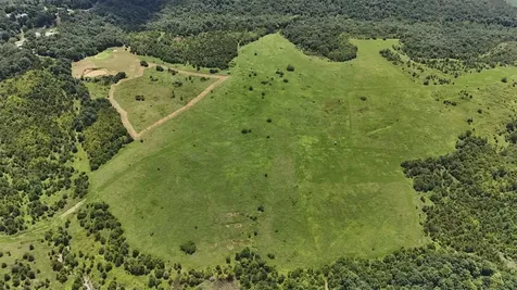 158 Acres Johnson Cemetery Road Morgantown KY 42261