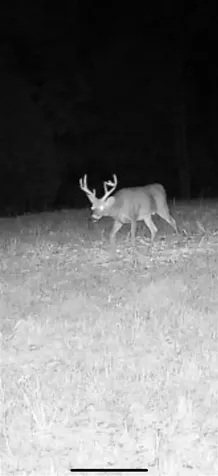 158 Acres Johnson Cemetery Road Morgantown KY 42261