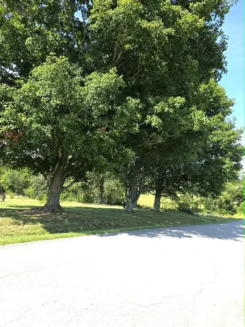 3240 Poplar Springs Road Glasgow KY 42141