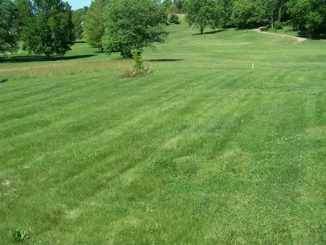 176 Fox Ridge Road Glasgow KY 42141