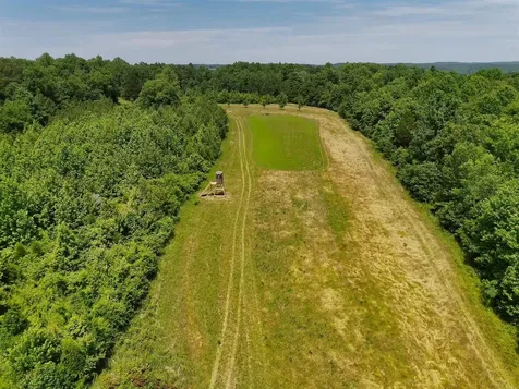 2335 Dog Walk Road Horse Branch KY 42349